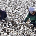 _109638941_gettyimages-1182886051-1