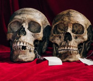 3 men docked for illegal possession of human skulls