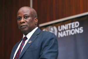 Edward Kallon, UN Humanitarian Coordinator in Nigeria