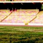 I cry when I see Nigerian pitches on TV -Egbe