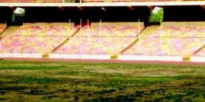 I cry when I see Nigerian pitches on TV -Egbe