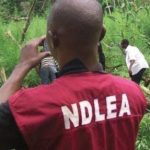 NDLEA