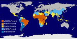 Neglected Tropical Diseases