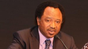 Senator Shehu Sani