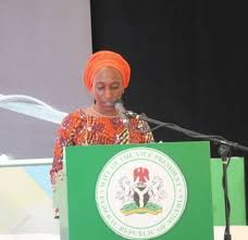UNDP commits $6m to 150 projects in Nigeria