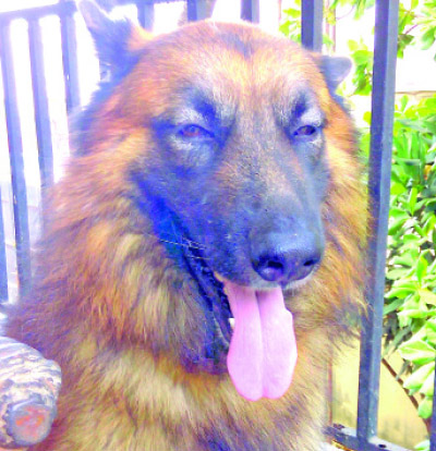 Untitled-21