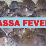Lassa fever