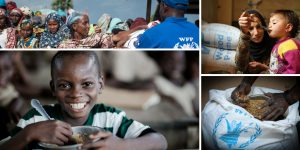 orld Food Programme (WFP)