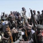 Support our local vigilantes and hunters, council boss appeals to state