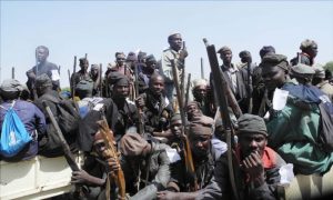 Support our local vigilantes and hunters, council boss appeals to state