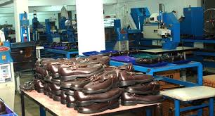 shoe