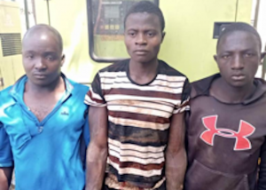 Police arrest 3 more Ansaru terrorist grouo in mop-up operations