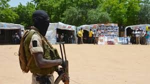 20 killed in Niger aid stampede