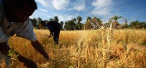 farmers farming