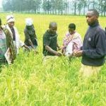 Curbing inflation through agriculture