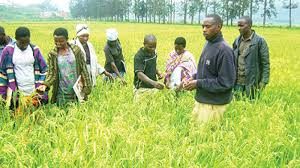 Curbing inflation through agriculture