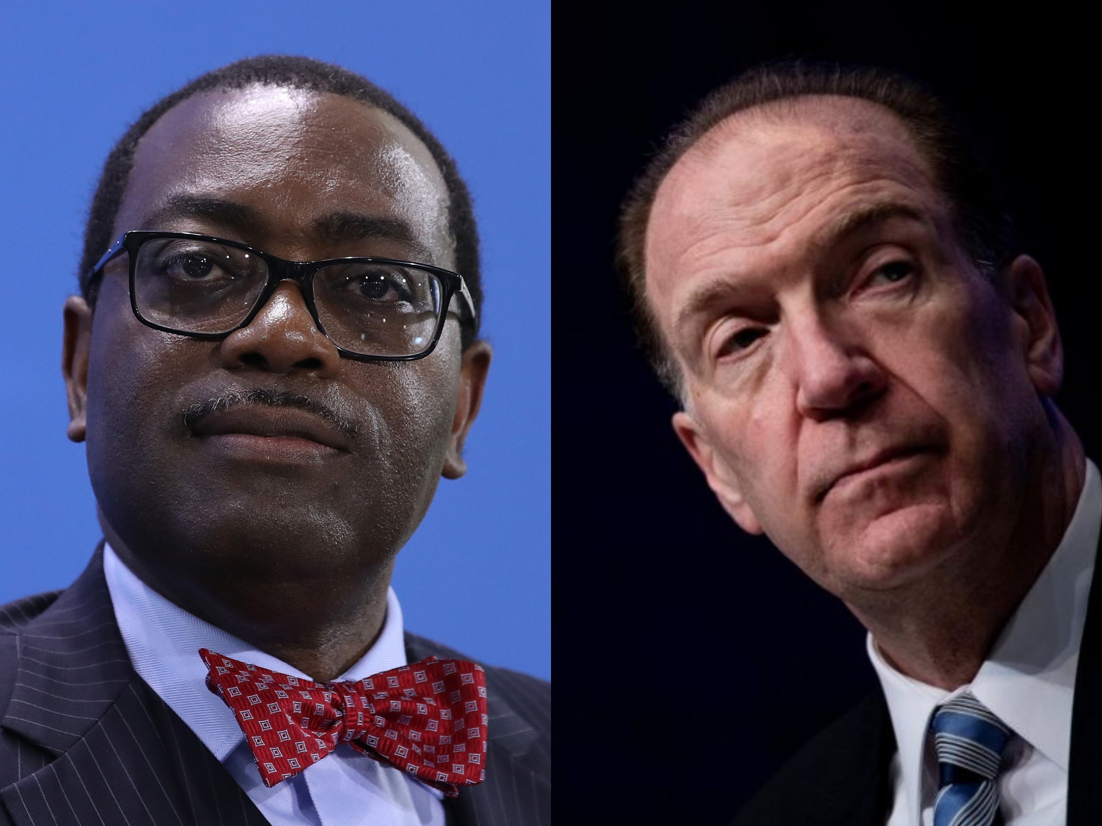 AfDB President Akinwumi Adesina (left), World Bank President David Malpass (right)