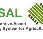 Nigerian Incentive-Based Risk Sharing System for Agricultural Lending, (NIRSAL)