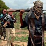 Senator presses for Boko Haram amnesty
