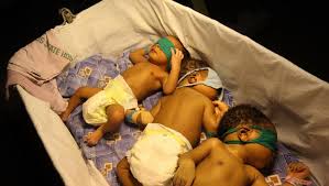 baby factory