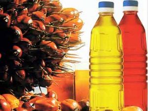 crude palm oil