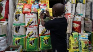A vendor arranges bags of rice at the Wuse market in Abuja, Nigeria May 15, 2018. REUTERS/Afolabi Sotunde – RC1B6E918430