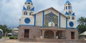 Catholic priest slumps, dies during homily