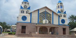 Catholic priest slumps, dies during homily