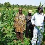 All Farmers Association of Nigeria (AFAN