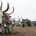 S’East- Only anti-open grazing law can end killings in South East -ADF