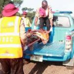 accident