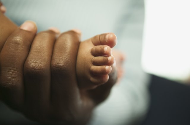 download