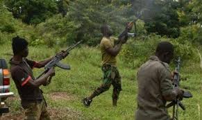 Again, bandits massacre 47 in Katsina