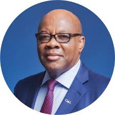 Dr. Olisa Agbakoba