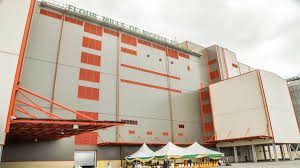 Flour Mills of Nigeria (FMN)