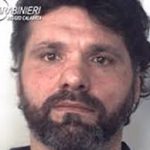 Fugitive bear