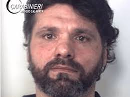 Fugitive bear