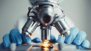 Pathologists