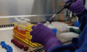 VACCINE