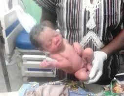 baby