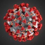 c0481846-wuhan_novel_coronavirus_illustration-spl