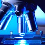 lab
