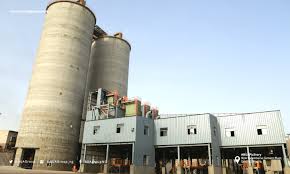 BUA Cement,