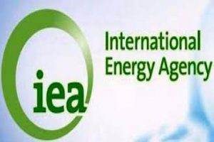 Energy Agency (IEA)
