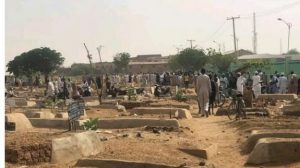 Kano-653×365
