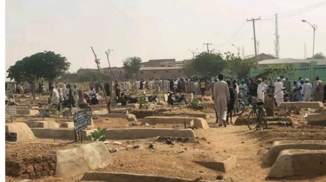 Kano-653×365