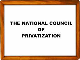 National Council on Privatization