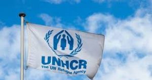 United Nations High Commissioner for Refugees (UNHCR)
