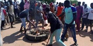 Youths protest killing of 7 vigilantes, 8 others in Niger
