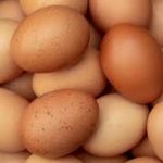 egg,jpeg